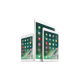 iPad iPad