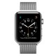 Смарт-часы Apple Watch S2 38mm St.St/SilvMilanese Loop (MNP62RU/A) Смарт-часы Apple Watch S2 38mm St.St/SilvMilanese Loop (MNP62RU/A)