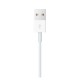 Зарядное устройство для Apple Watch Apple Watch Magnetic Charging Cable 2m (MJVX2ZM/A) Зарядное устройство для Apple Watch Apple Watch Magnetic Charging Cable 2m (MJVX2ZM/A)